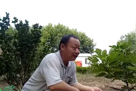 蝉蜕是一种药材，和其它药材一起煎水喝能治疗很多疾病视频封面