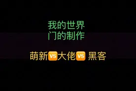 我的世界：门的制作，萌新VS大佬VS黑客！