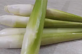 农村大姐去割高笋，种植技术分享给大家，值得一看视频封面