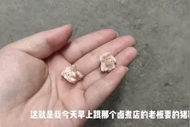 小武一大早去跟卤肉店老板要的猪精，回来给二胖磨平戴手脖上。视频封面