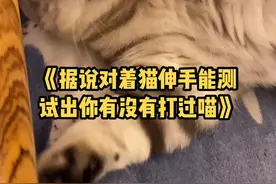 《据说对着猫伸手能测试出你有没有打过喵》@DOU+小助手 #喵星人 #猫咪的日常 #萌宠出道计划