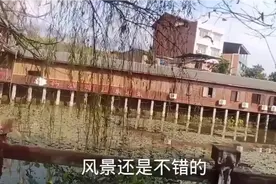 西安建工集团在我们这里搞大开发，希望我们这里生活越来越好视频封面