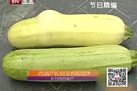 西葫芦长大包，这是怎么回事？这样的西葫芦究竟还敢吃吗视频封面