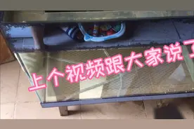 今天修补鱼缸裂缝#鱼缸#生活小知识