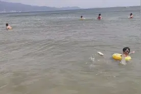 管你深圳牌还是外地牌去深圳海边都要预约哦。
