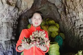 十万斤生姜2年都不会坏，浙江农村大爷教你保存生姜，这方法好用视频封面