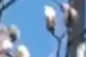 人算得精
不如
天算得准视频封面