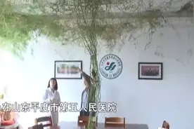 15年文竹把屋子都爬满了！视频封面