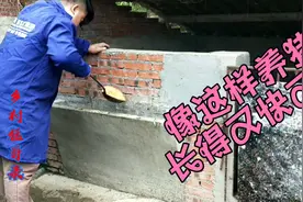 猛哥学养殖，食槽像这样设计，方便又先进，大家都来学习。