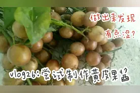 vlog26/尝试制作黄皮果酱，据说生津止渴，做出来的味道究竟如何