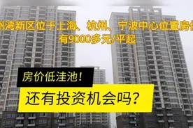 杭州湾新区位于上海、杭州、宁波中心位置，房价只有9000多元每平视频封面