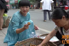 野生枞树菌上市，深山集市40块一斤，农村媳妇这样做很有湖南特色视频封面