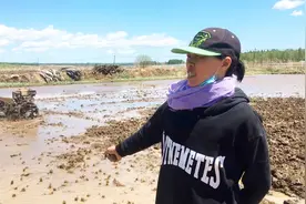 手扶拖拉机上装个木板，变身水田平整神器，永远别小瞧农民的智慧视频封面