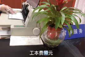 新房车申领临时牌照，纸牌照有黄底和蓝底之分。山龙又傻跑了两趟视频封面