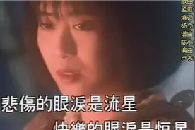 《谁的眼泪在飞》视频封面