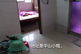 280租的一房一厅，没想到中山的房租那么便宜视频封面