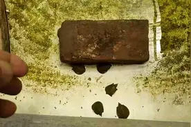 你知道简单养殖小甲鱼的方法吗？跟随摄像头两分钟便知分晓。