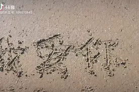 8种语言的我爱你视频封面
