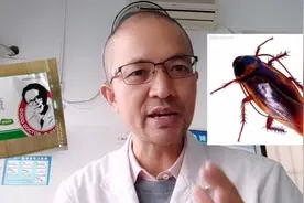 打不死的小强现在也制成药物了 ，对胃病和一些外科疾病均有良效视频封面