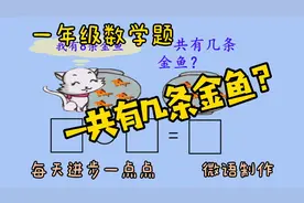 一年级数学易错题，一共有几条金鱼？有的说11条，有的说15条。