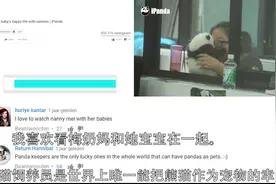 油管网友：为什么沙特阿拉伯没有熊猫？网友评论：太热了！视频封面