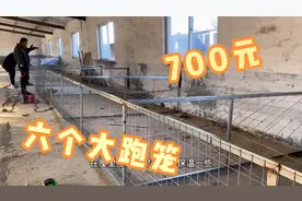 700元钱自己焊接六个九平方的幼犬跑笼，自己动手很实惠，赞！