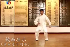 八法五步镜面示范