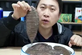 条鳎又叫猫利鱼，颜色漂亮属于比目鱼的一种，剥皮才能吃视频封面