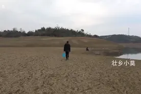 壮乡小莫加油视频封面