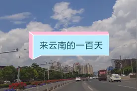 来云南的第100天，东北小语调，贼带劲视频封面