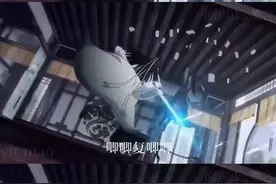 天天就天天视频封面