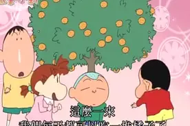 蜡笔小新:吃进肚子里的橘子种子会从头顶长出来吗？视频封面