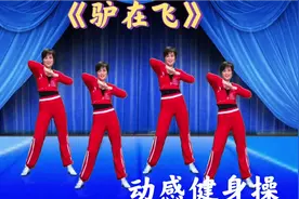 动感DJ《驴在飞》幽默神曲，句句在理，简单扭腰摆胯瘦身操