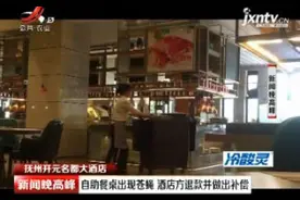 抚州开元名都大酒店：自助餐桌出现苍蝇 酒店方退款并做出补偿视频封面