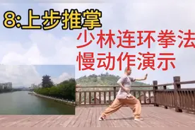 少林连环拳法慢动作演示，16个招式简单易学，功夫与健身同练视频封面