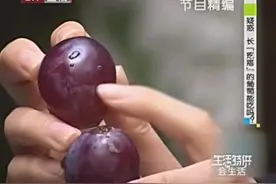 葡萄上面长疙瘩，这是怎么回事？这样的葡萄究竟还能吃吗？视频封面