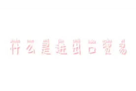 进出口贸易是什么视频封面