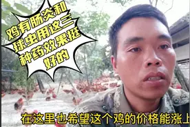 小吴养殖，鸡有肠炎和球虫用这三种药效果挺好的，希望鸡能上涨视频封面