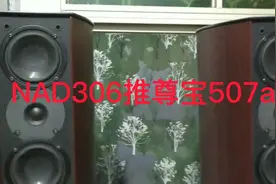 NAD306推尊宝507a欣赏视频封面