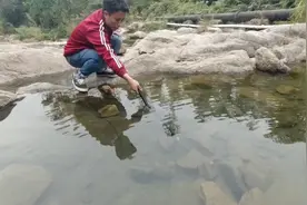 实拍大疆运动相机水下拍摄，还可以清楚的看见水里的鱼儿。