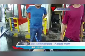 真假驾照同现身，民警 “火眼金睛”辨真伪视频封面