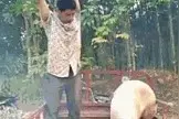 大哥早晨起来就喝三瓶啤酒。嫂子说见酒比我都亲。视频封面