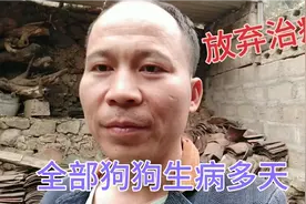 狗狗生病多天，流眼屎流鼻涕，已放弃治疗，结果会怎么样