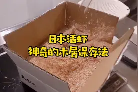 日本活虾神奇的木屑保存法，到底是什么原理呢
