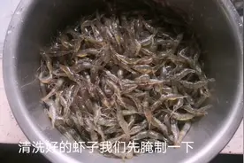 鲜活的小米虾，我们来爆炒，味道鲜甜肉质细嫩，吃了还想吃