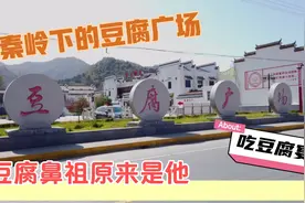 秦岭下豆腐广场，豆腐鼻祖原来是他，先涨知识再吃豆腐宴视频封面