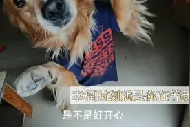 幸福的时刻就是我下班了，你在家无论多晚都在等我，对我满满的爱视频封面