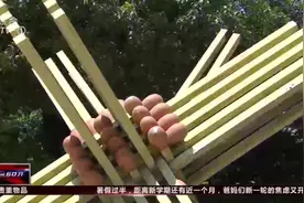 现在还有人用火柴？老厂长一直坚守，百年老厂成非遗视频封面