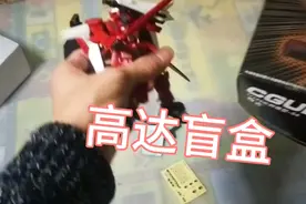 网购买了个25元的高达盲盒，据说能开到大班。真的还是假的视频封面