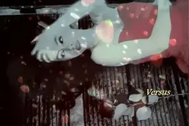 很喜欢这首歌的旋律！推荐这首《Rabbit》希望你喜欢！